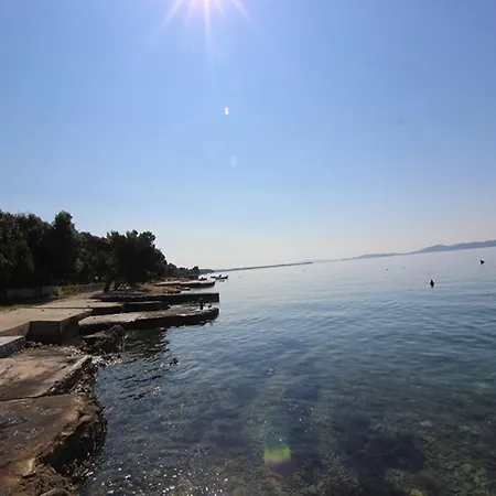 Bluesky * Kožino